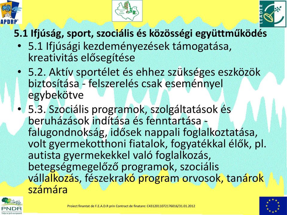 Szociális programok, szolgáltatások és beruházások indítása és fenntartása - falugondnokság, idősek nappali foglalkoztatása, volt