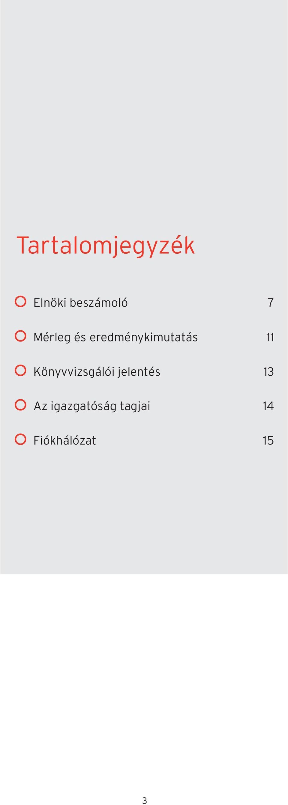 Könyvvizsgálói jelentés 13 Az
