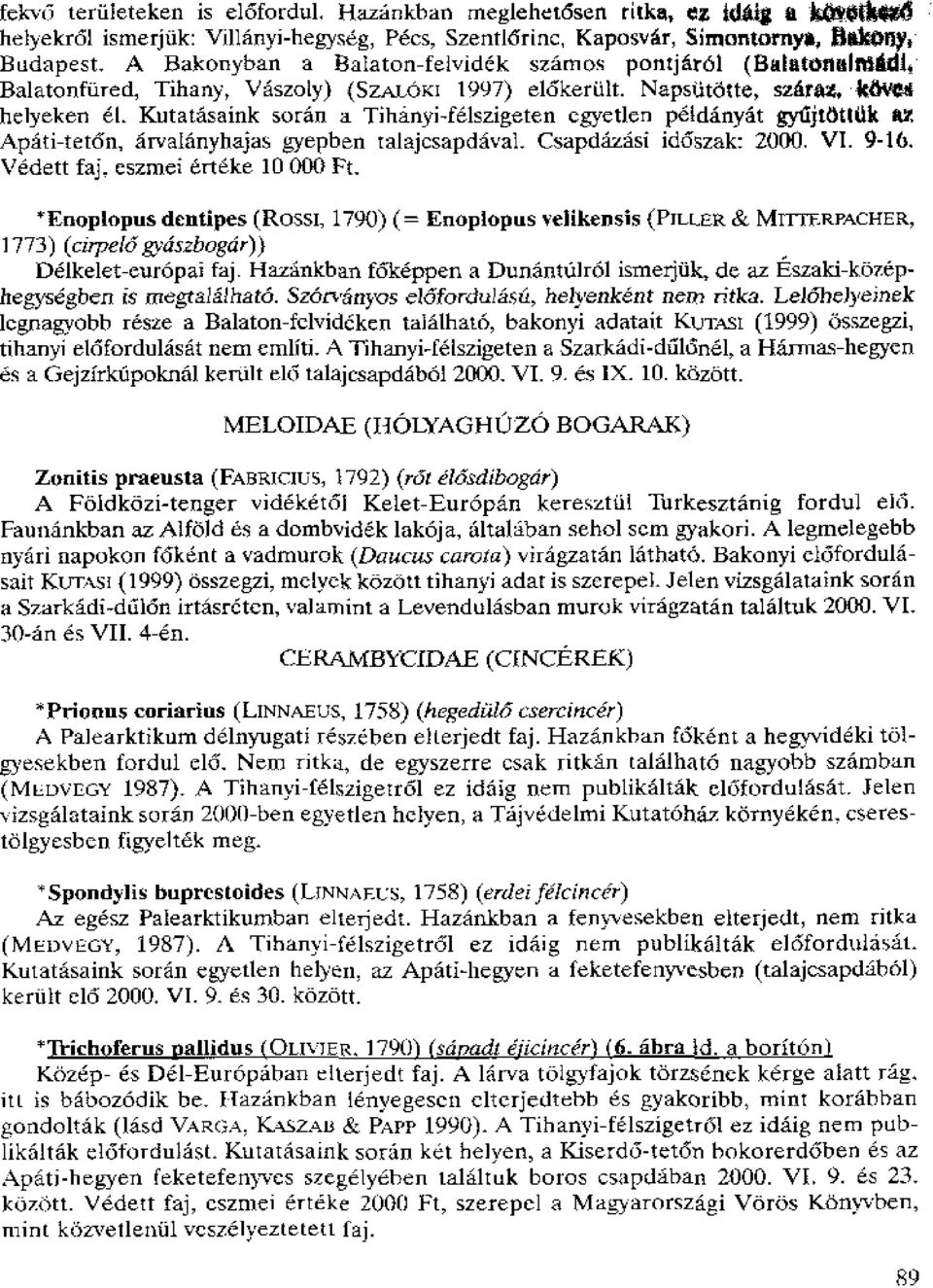 Kutatasaink soran a Tihanyi-felszigeten egyetlen peldanyat gyditotiuk az Apati-tet6n, arvalanyhajas gyepben talajcsapdaval. Csapdazasi id6szak: 2000. VI. 9- Vedett faj, eszmei allele 10 000 Ft.