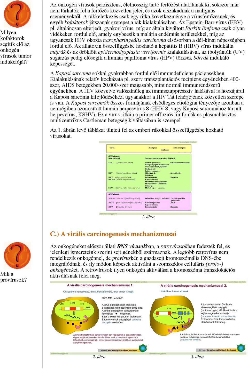 I./2. fejezet: Vírusok szerepe a daganatok kialakulásában - PDF Ingyenes  letöltés