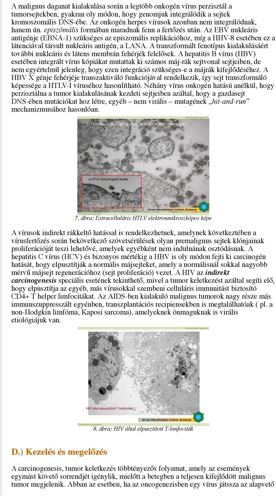 Az EBV nukleáris antigénje (EBNA-1) szükséges az episzomális replikációhoz, míg a HHV-8 esetében ez a látenciával társult nukleáris antigén, a LANA.