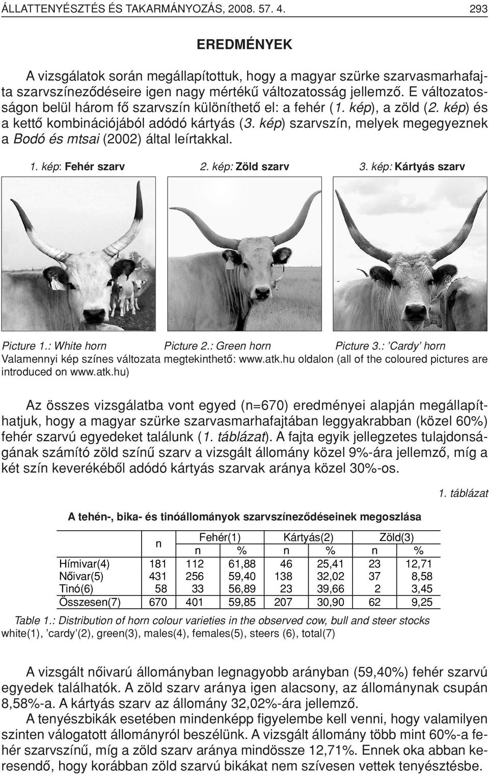 kép) szarvszín, melyek megegyeznek a Bodó és mtsai (2002) által leírtakkal. 1. kép: Fehér szarv 2. kép: Zöld szarv 3. kép: Kártyás szarv Picture 1.: White horn Picture 2.: Green horn Picture 3.