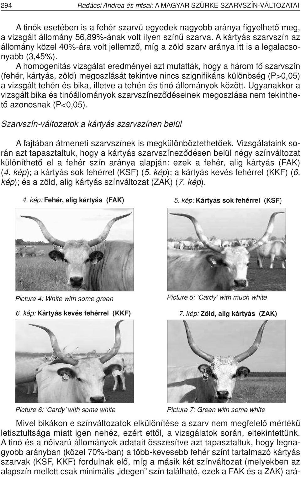 A homogenitás vizsgálat eredményei azt mutatták, hogy a három fô szarvszín (fehér, kártyás, zöld) megoszlását tekintve nincs szignifikáns különbség (P>0,05) a vizsgált tehén és bika, illetve a tehén