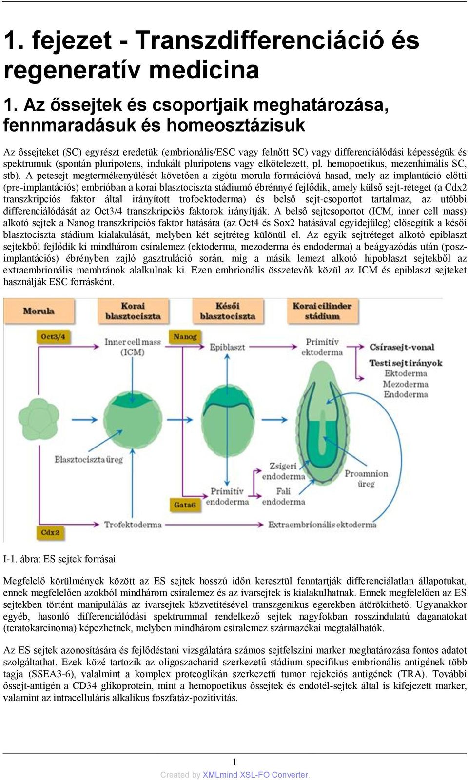 (spontán pluripotens, indukált pluripotens vagy elkötelezett, pl. hemopoetikus, mezenhimális SC, stb).