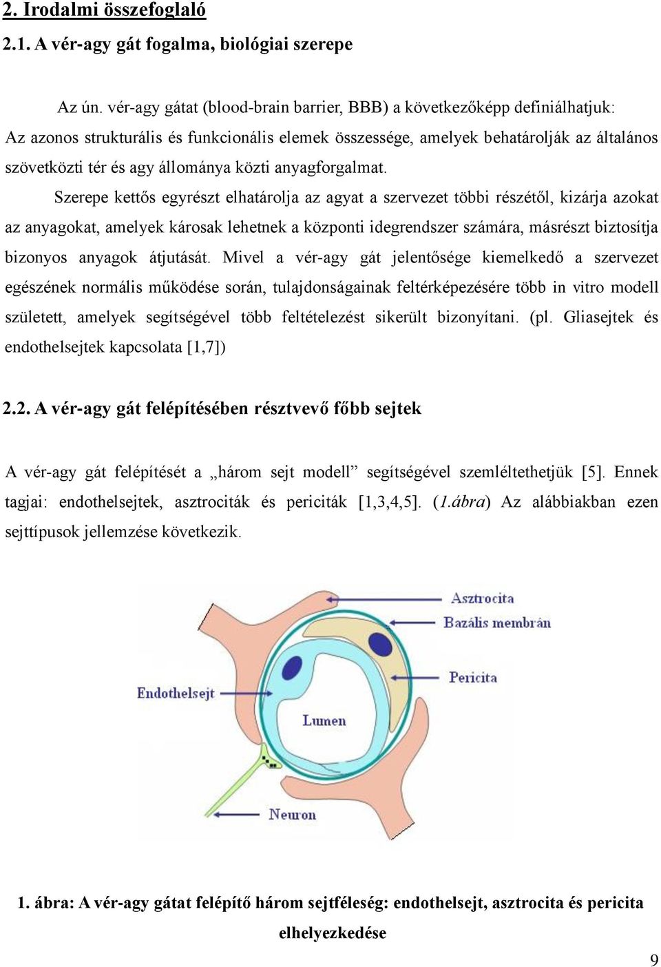 közti anyagforgalmat.