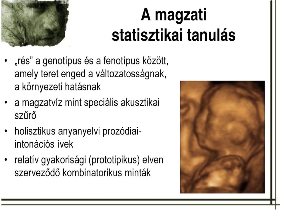 akusztikai szűrő holisztikus anyanyelvi prozódiaiintonációs ívek relatív