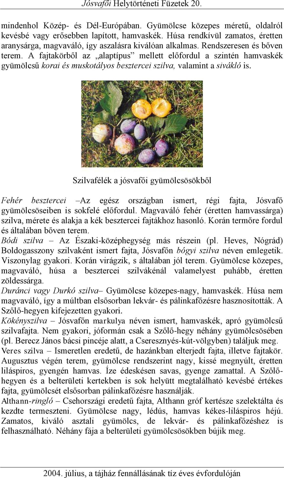 A fajtakörből az alaptípus mellett előfordul a szintén hamvaskék gyümölcsű korai és muskotályos besztercei szilva, valamint a sivákló is.