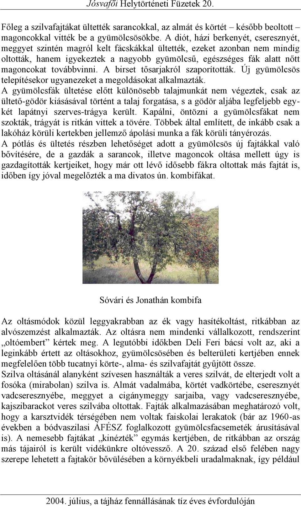 továbbvinni. A birset tősarjakról szaporították. Új gyümölcsös telepítésekor ugyanezeket a megoldásokat alkalmazták.