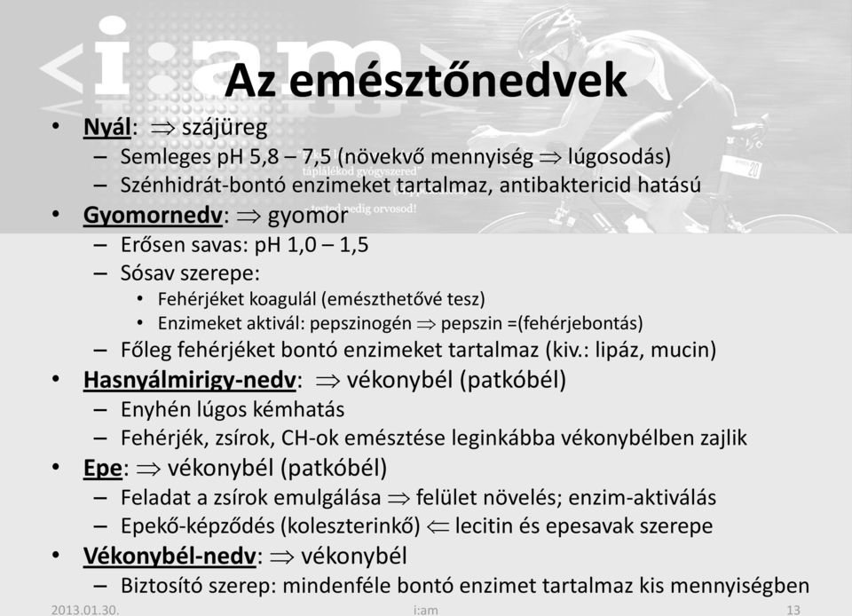 : lipáz, mucin) Hasnyálmirigy-nedv: vékonybél (patkóbél) Enyhén lúgos kémhatás Fehérjék, zsírok, CH-ok emésztése leginkábba vékonybélben zajlik Epe: vékonybél (patkóbél) Feladat a zsírok