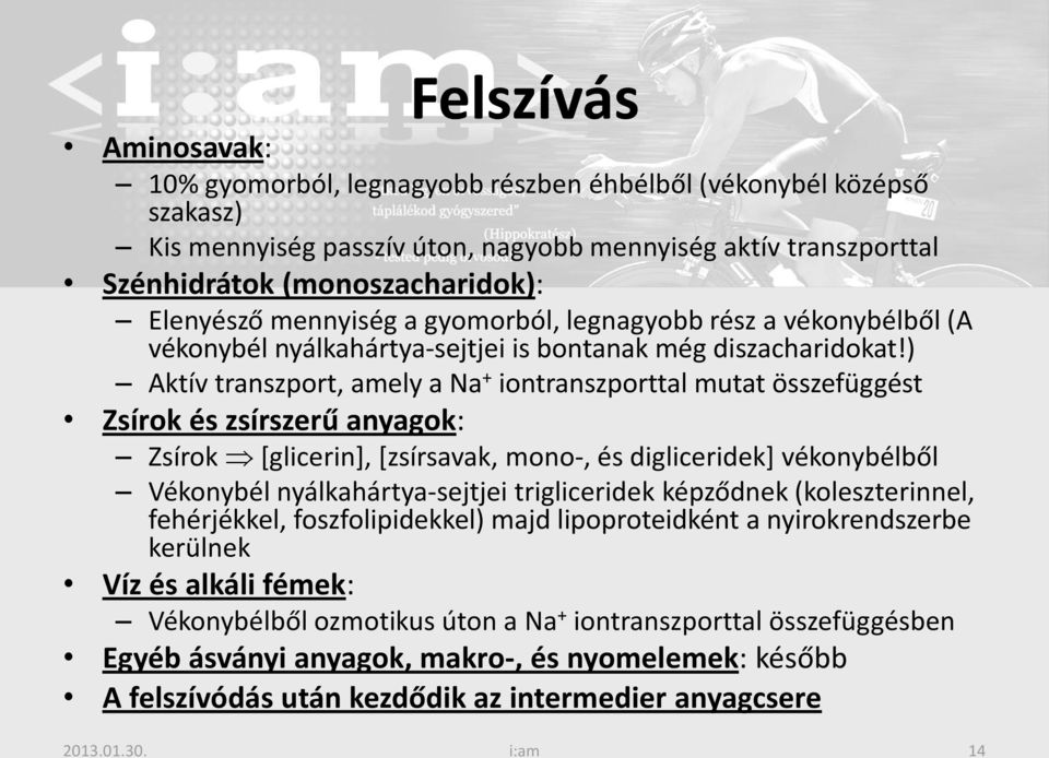 ) Aktív transzport, amely a Na + iontranszporttal mutat összefüggést Zsírok és zsírszerű anyagok: Zsírok [glicerin], [zsírsavak, mono-, és digliceridek] vékonybélből Vékonybél nyálkahártya-sejtjei