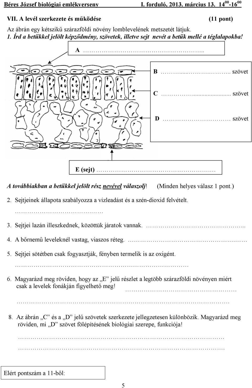 (Minden helyes válasz 1 pont.) 2. Sejtjeinek állapota szabályozza a vízleadást és a szén-dioxid felvételt.. 3. Sejtjei lazán illeszkednek, közöttük járatok vannak..... 4.