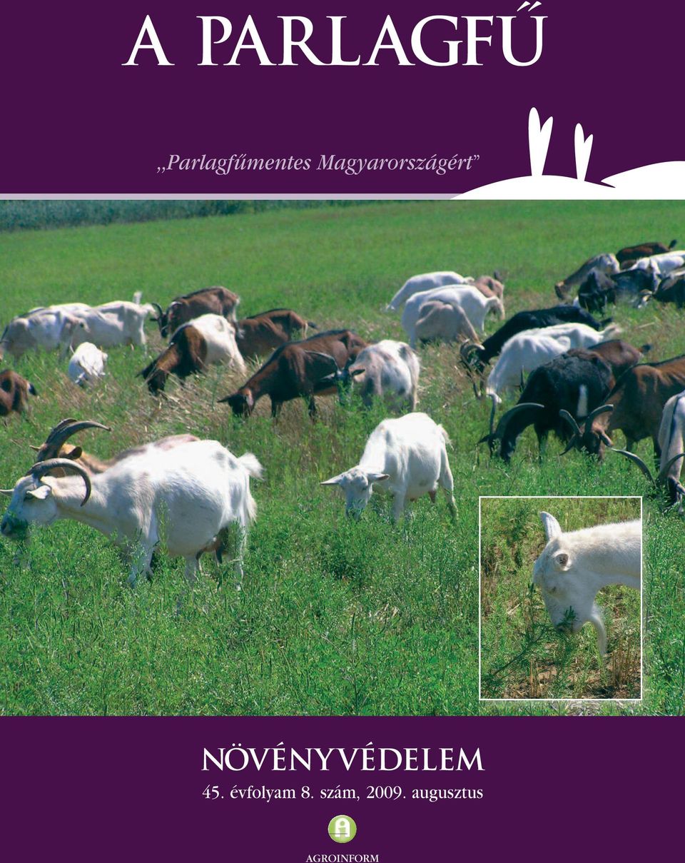 VÉDELEM 45. évfolyam 8.