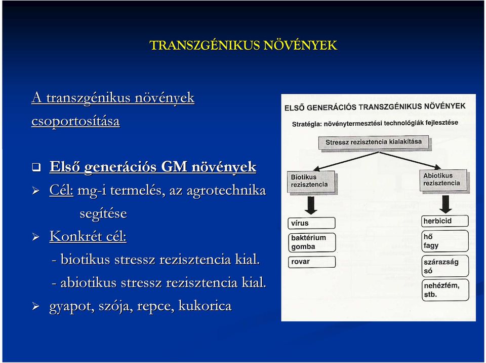 termelés, az agrotechnika segítése Konkrét t cél: c - biotikus stressz