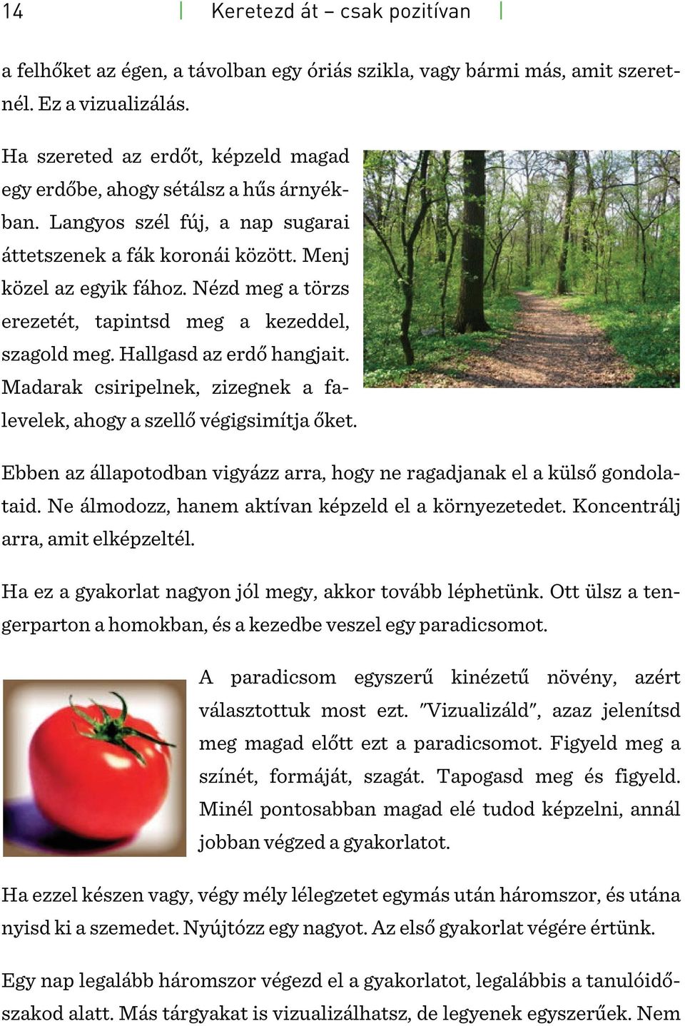Nézd meg a törzs erezetét, tapintsd meg a kezeddel, szagold meg. Hallgasd az erdő hangjait. Madarak csiripelnek, zizegnek a falevelek, ahogy a szellő végigsimítja őket.
