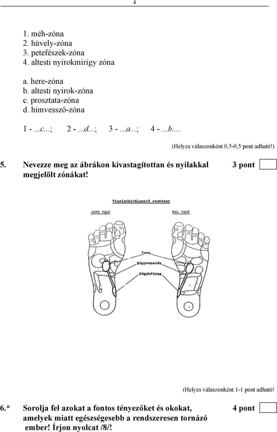 Nevezze meg az ábrákon kivastagítottan és nyilakkal 3 pont megjelölt zónákat!