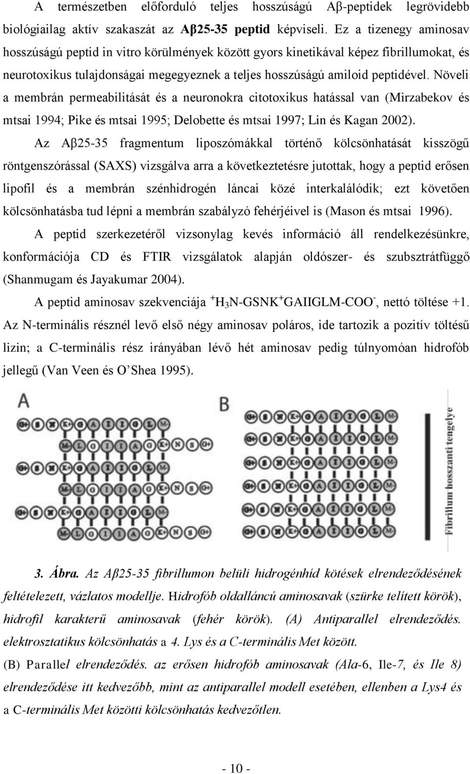 Növeli a membrán permeabilitását és a neuronokra citotoxikus hatással van (Mirzabekov és mtsai 1994; Pike és mtsai 1995; Delobette és mtsai 1997; Lin és Kagan 2002).