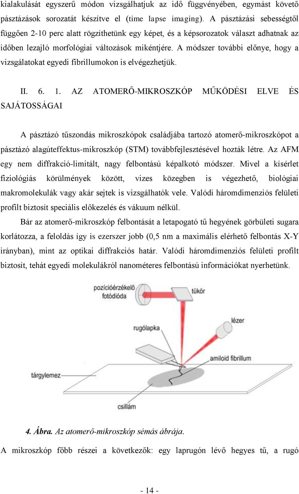 A módszer további előnye, hogy a vizsgálatokat egyedi fibrillumokon is elvégezhetjük. II. 6. 1.