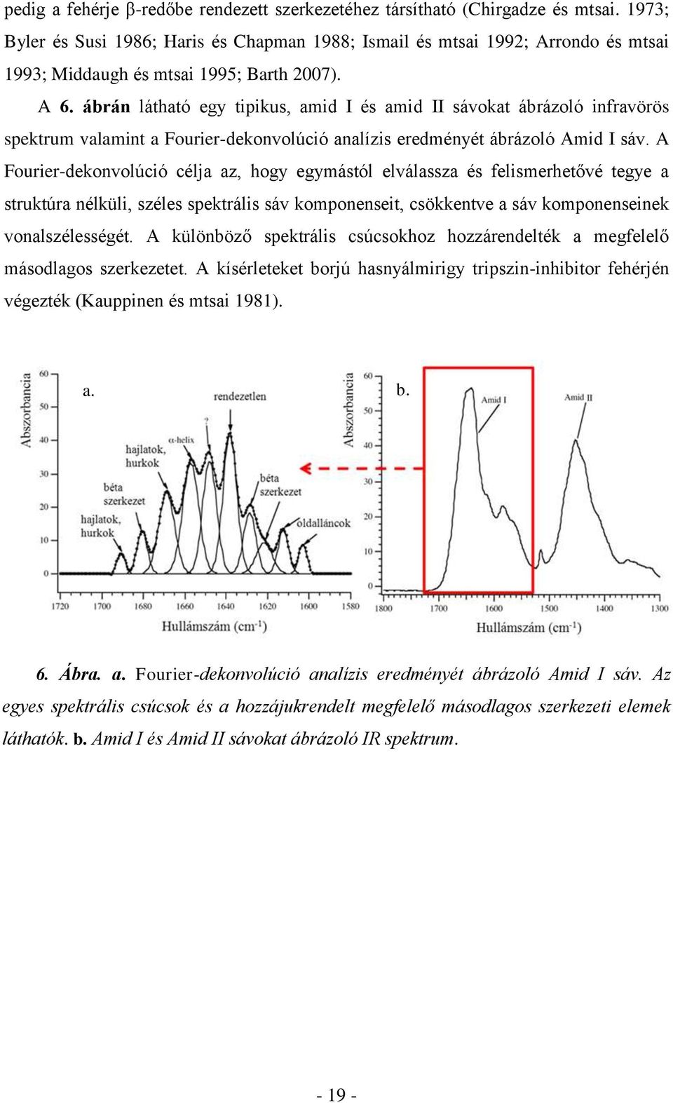 ábrán látható egy tipikus, amid I és amid II sávokat ábrázoló infravörös spektrum valamint a Fourier-dekonvolúció analízis eredményét ábrázoló Amid I sáv.