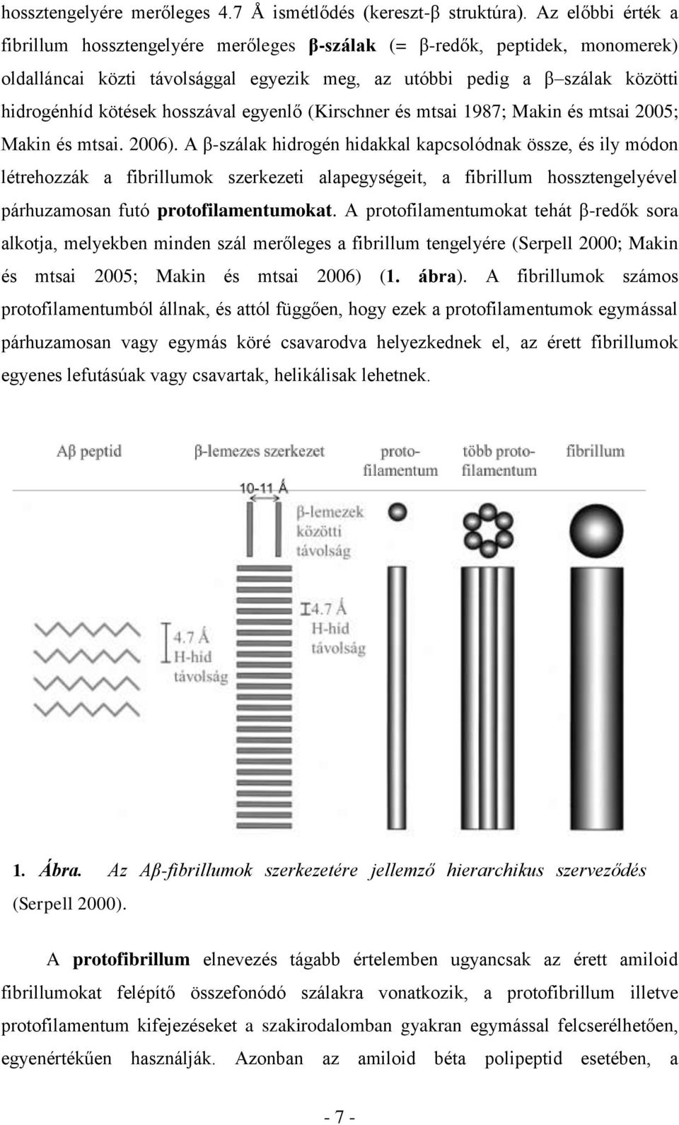 hosszával egyenlő (Kirschner és mtsai 1987; Makin és mtsai 2005; Makin és mtsai. 2006).