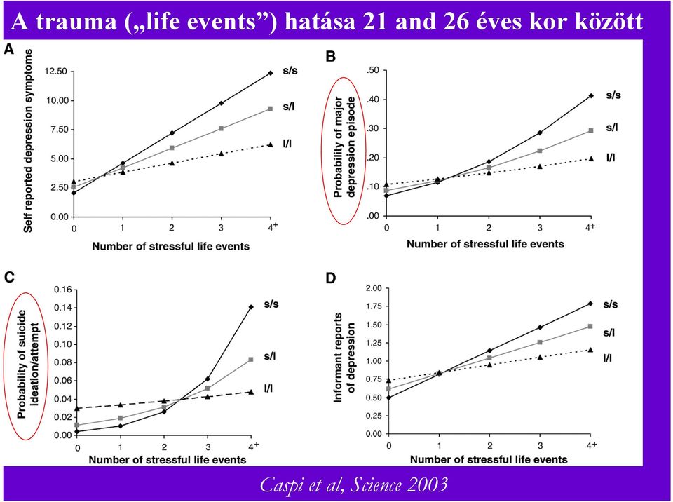 and 26 éves kor