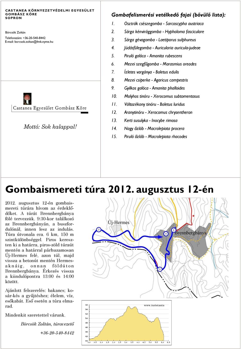 Júdásfülegomba - Auricularia auricula-judeae 5. Piruló galóca - Amanita rubescens 6. Mezei szegfűgomba - Marasmius oreades 7. Ízletes vargánya - Boletus edulis 8.