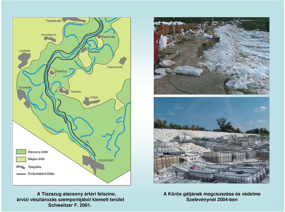 terület Schweitzer F. 2001.