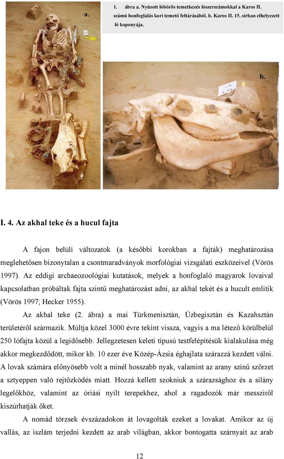 Az eddigi archaeozoológiai kutatások, melyek a honfoglaló magyarok lovaival kapcsolatban próbáltak fajta szintű meghatározást adni, az akhal tekét és a hucult említik (Vörös 1997; Hecker 1955).