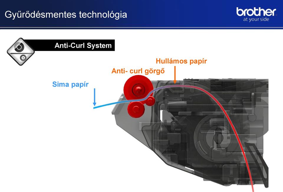 System Hullámos papír