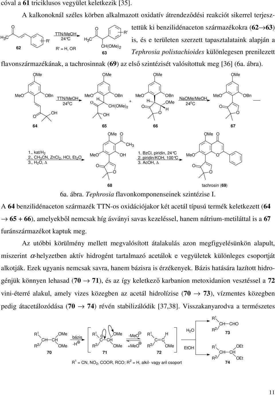 szerzett tapasztalataink alapján a Tephrosia polistachioides különlegesen prenilezett flavonszármazékának, a tachrosinnak (69) az első szintézisét valósítottuk meg [36] (6a. ábra).