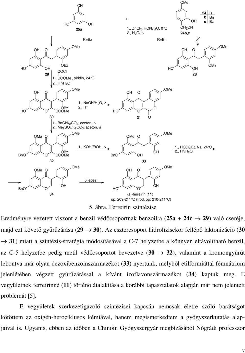 Ferreirin szintézise Eredményre vezetett viszont a benzil védőcsoportnak benzoilra (25a + 24c 29) való cseréje, majd ezt követő gyűrűzárása (29 30).