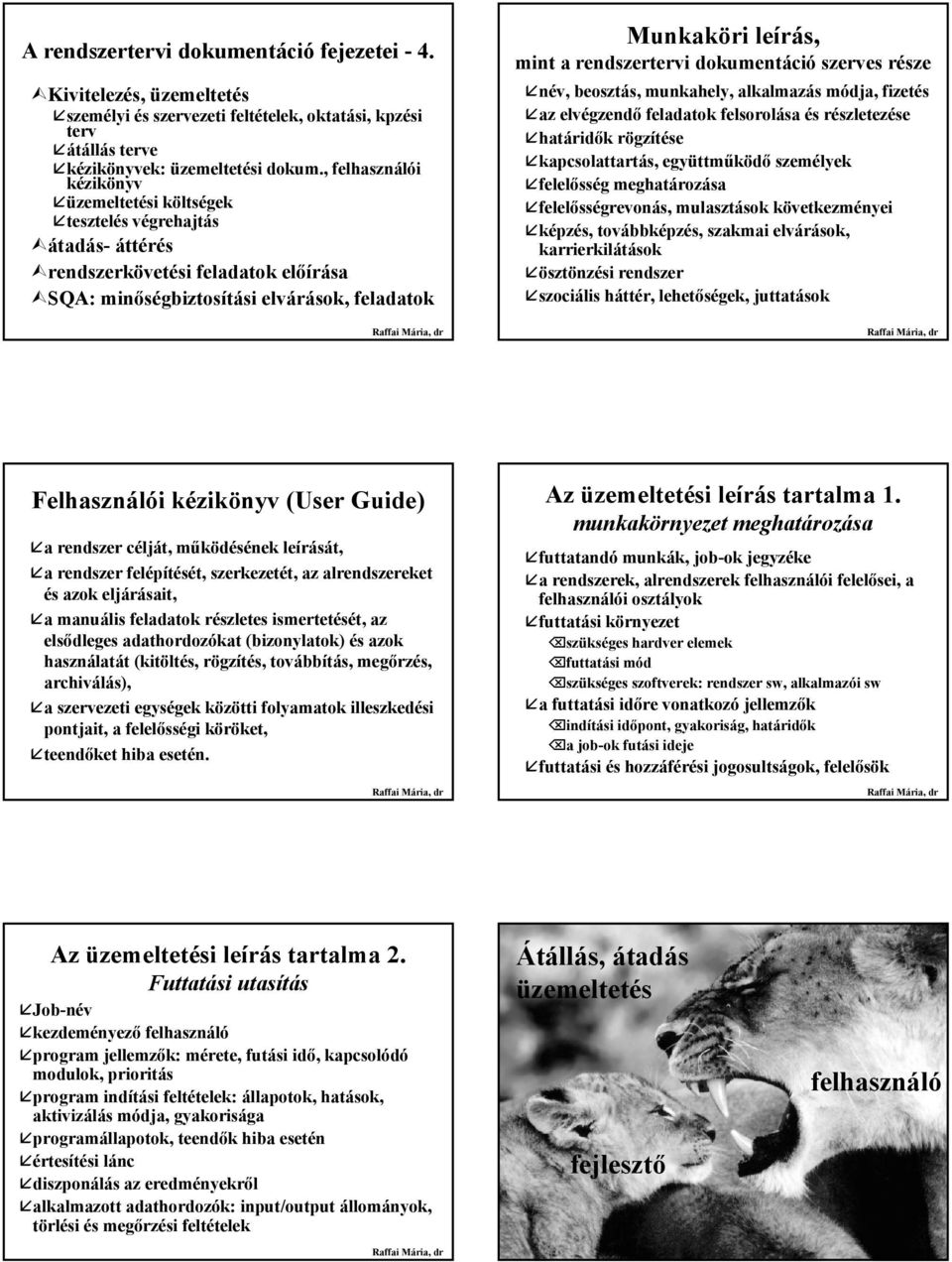 rendszertervi dokumentáció szerves része név, beosztás, munkahely, alkalmazás módja, fizetés az elvégzendő feladatok felsorolása és részletezése határidők rögzítése kapcsolattartás, együttműködő