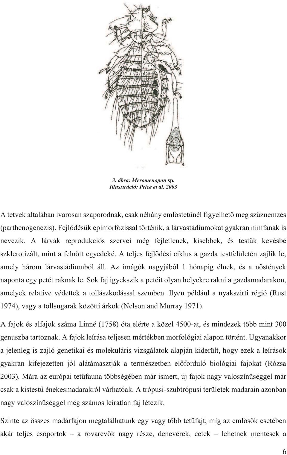 A teljes fejlődési ciklus a gazda testfelületén zajlik le, amely három lárvastádiumból áll. Az imágók nagyjából 1 hónapig élnek, és a nőstények naponta egy petét raknak le.