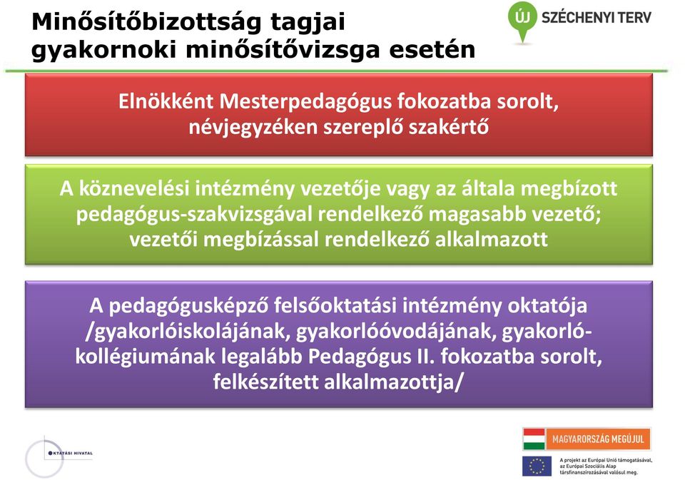 magasabb vezető; vezetői megbízással rendelkező alkalmazott A pedagógusképző felsőoktatási intézmény oktatója