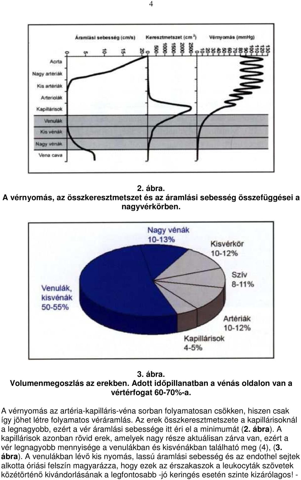 Az erek összkeresztmetszete a kapillárisoknál a legnagyobb, ezért a vér áramlási sebessége itt éri el a minimumát (2. ábra).