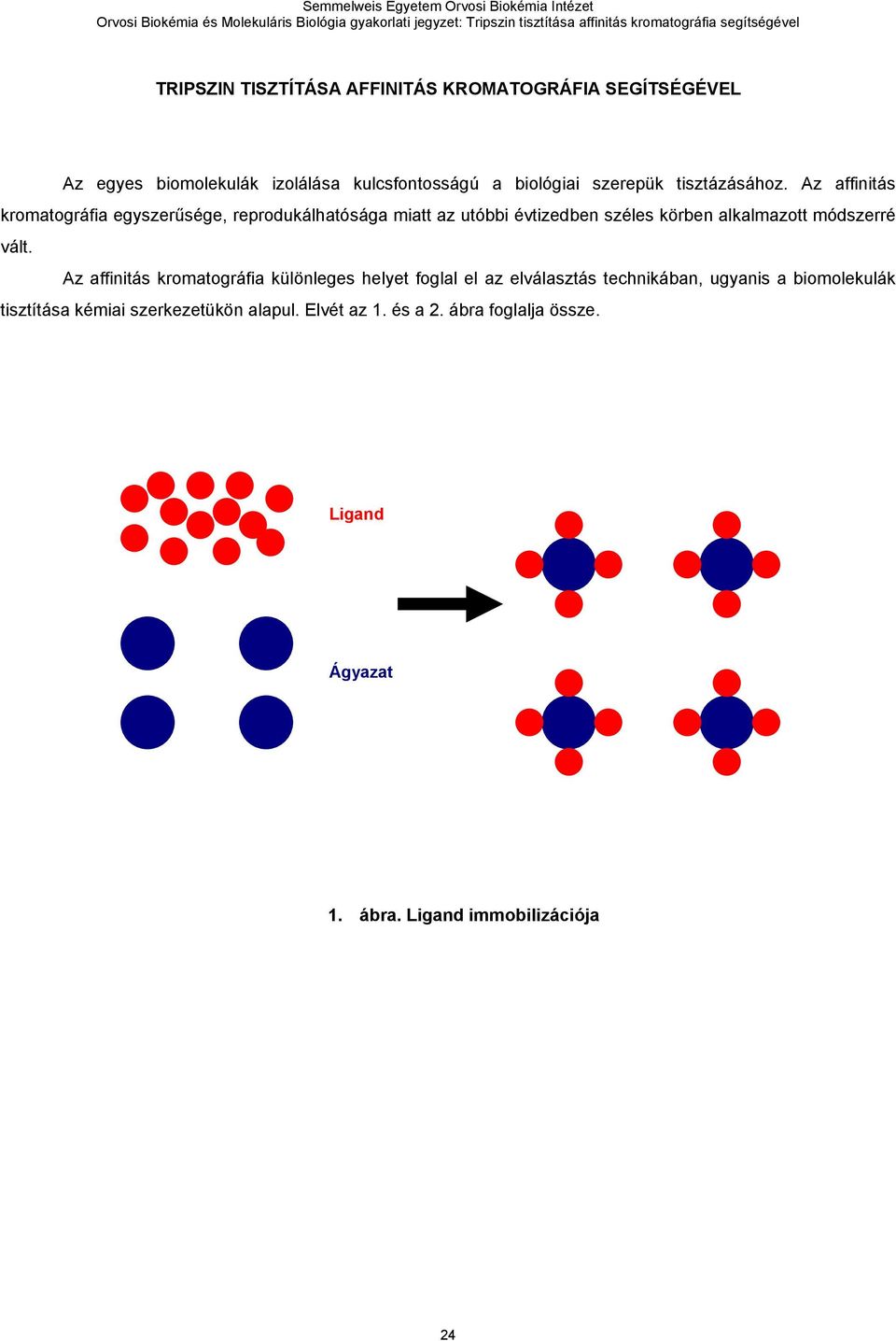 Az affinitás kromatográfia egyszerűsége, reprodukálhatósága miatt az utóbbi évtizedben széles körben alkalmazott módszerré