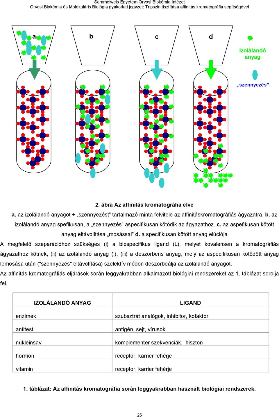 a specifikusan kötött anyag elúciója A megfelelő szeparációhoz szükséges (i) a biospecifikus ligand (L), melyet kovalensen a kromatográfiás ágyazathoz kötnek, (ii) az izolálandó anyag (I), (iii) a
