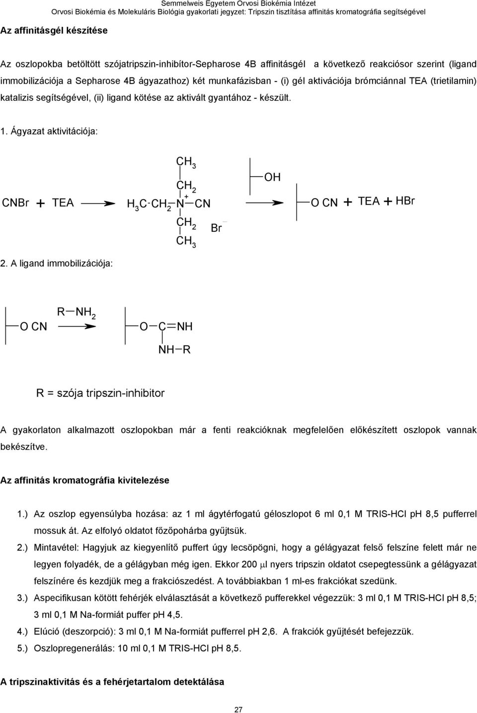 Ágyazat aktivitációja: CH 3 CH 2 CNBr TEA H 3 C CH 2 N + CN + + + H 2.