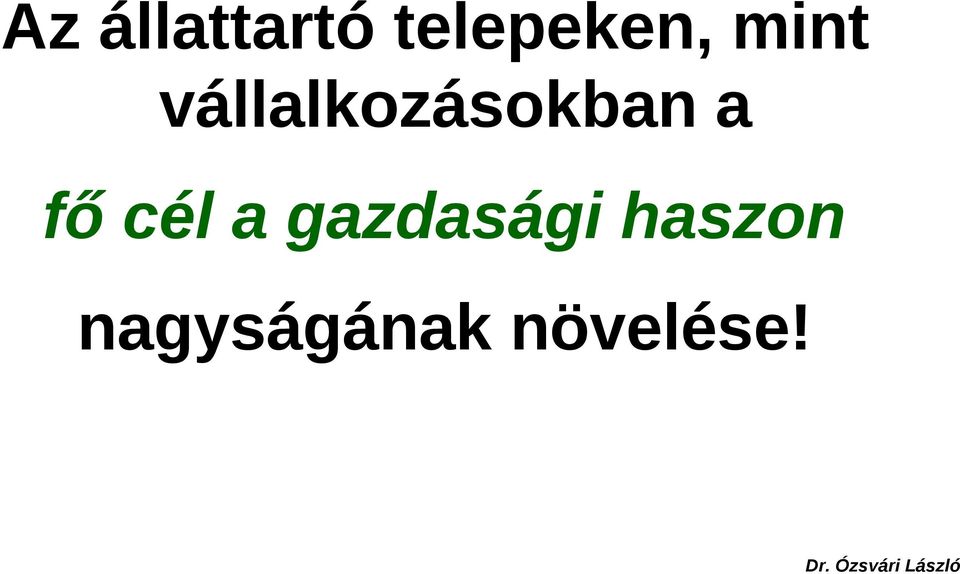 vállalkozásokban a fő