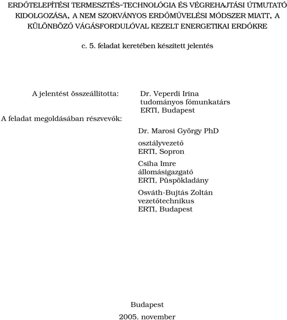 feladat keretében készített jelentés A jelentést összeállította: A feladat megoldásában részvevık: Dr.