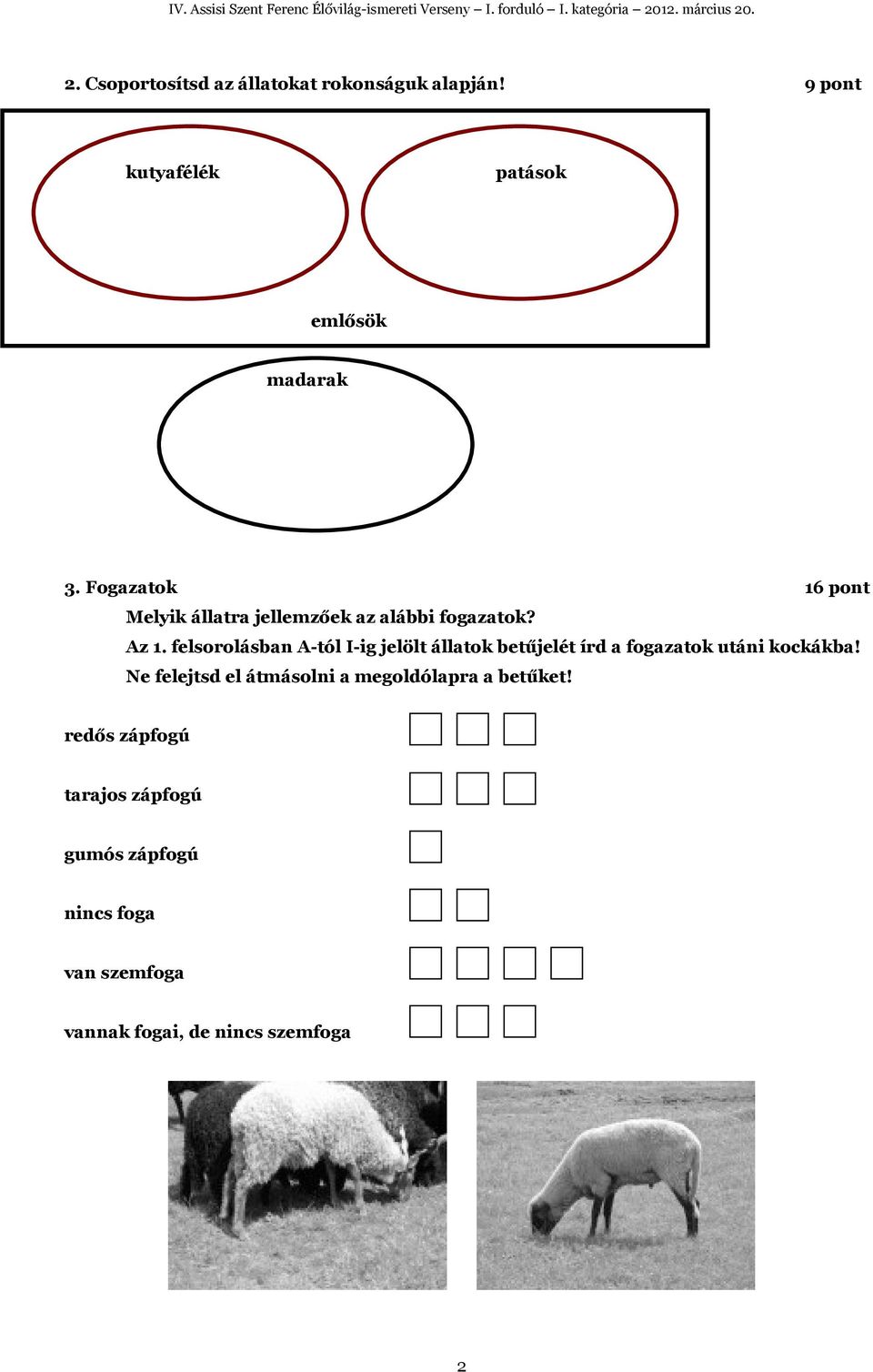 felsorolásban A-tól I-ig jelölt állatok betűjelét írd a fogazatok utáni kockákba!