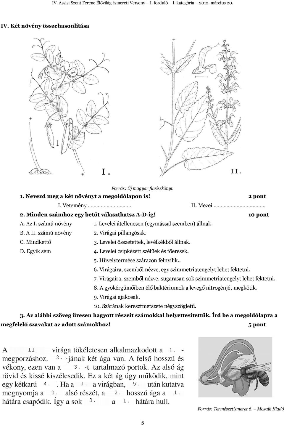 Levelei csipkézett szélűek és főeresek. 5. Hüvelytermése szárazon felnyílik.. 6. Virágaira, szemből nézve, egy szimmetriatengelyt lehet fektetni. 7.
