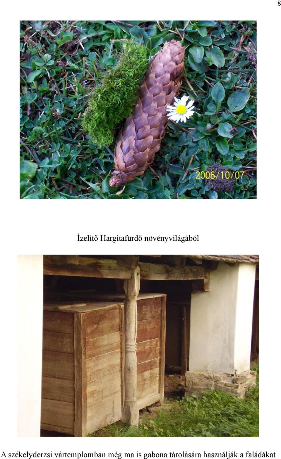 székelyderzsi vártemplomban