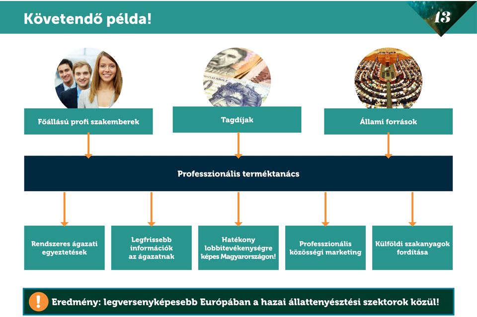 Rendszeres ágazati egyeztetések Legfrissebb információk az ágazatnak Hatékony