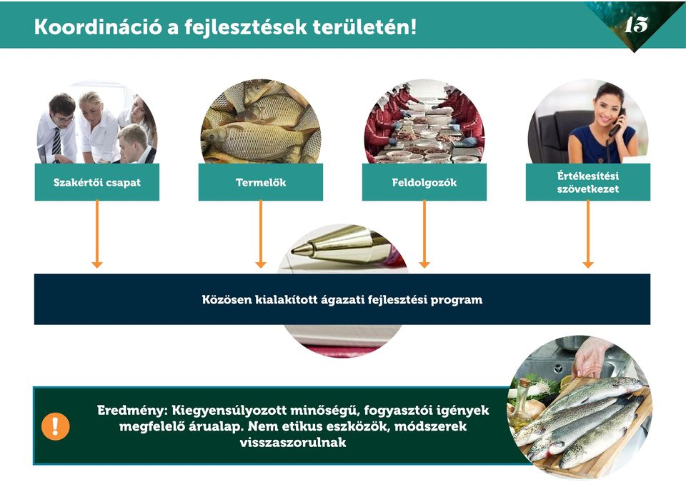 Közösen kialakított ágazati fejlesztési program!