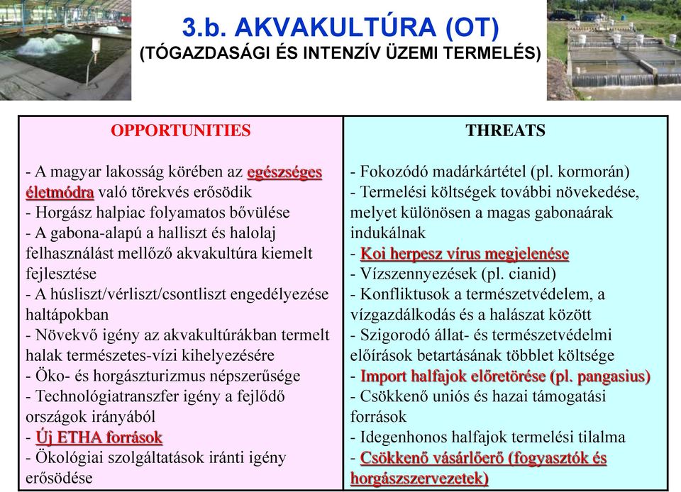 természetes-vízi kihelyezésére - Öko- és horgászturizmus népszerűsége - Technológiatranszfer igény a fejlődő országok irányából - Új ETHA források - Ökológiai szolgáltatások iránti igény erősödése