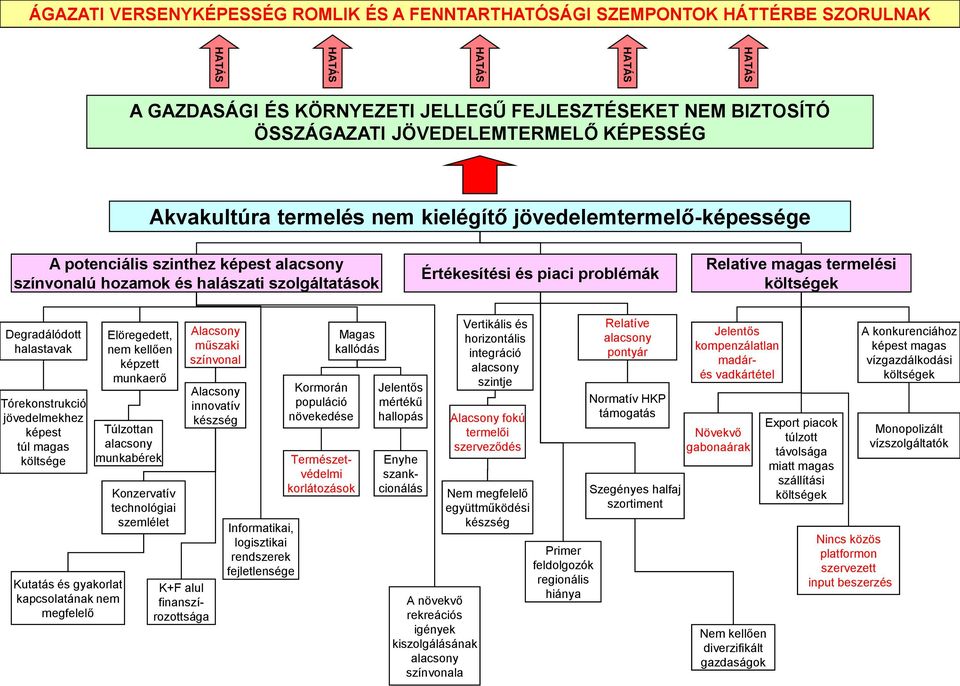 problémák Relatíve magas termelési költségek Degradálódott halastavak Tórekonstrukció jövedelmekhez képest túl magas költsége Kutatás és gyakorlat kapcsolatának nem megfelelő Elöregedett, nem kellően