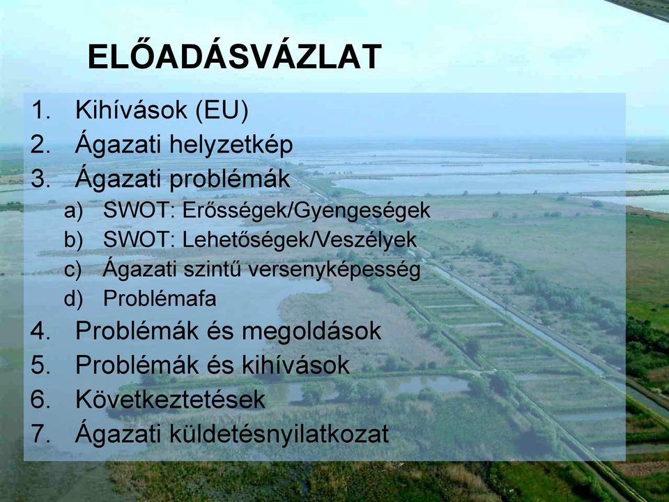 Lehetőségek/Veszélyek c) Ágazati szintű versenyképesség d) Problémafa 4.