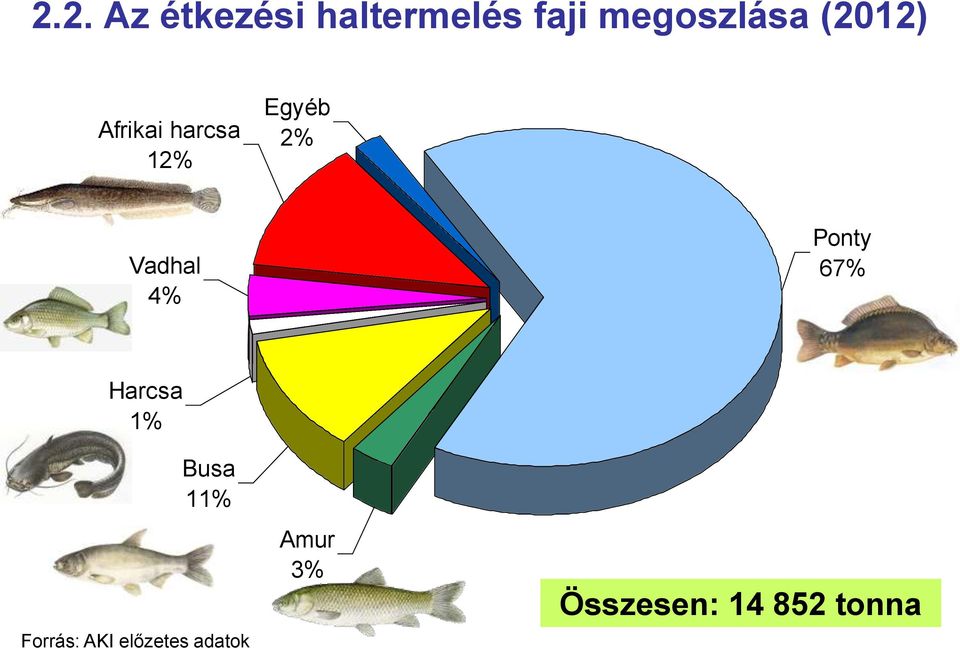 Ponty 67% Harcsa 1% Busa 11% Forrás: AKI