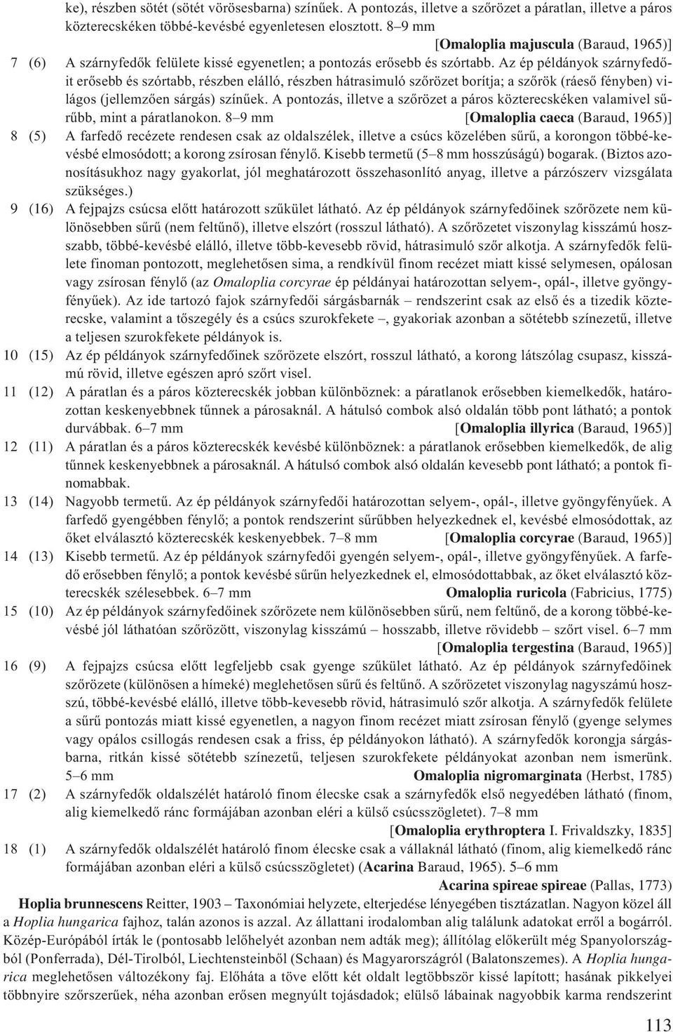 Az ép példányok szárnyfedőit erősebb és szórtabb, részben elálló, részben hátrasimuló szőrözet borítja; a szőrök (ráeső fényben) világos (jellemzően sárgás) színűek.