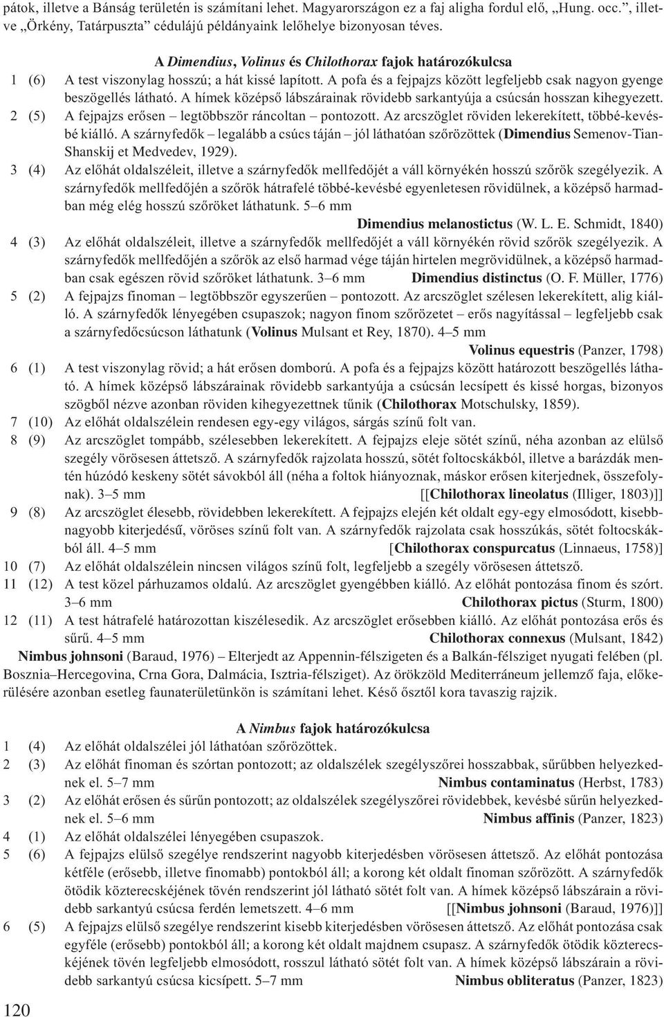 A hímek középső lábszárainak rövidebb sarkantyúja a csúcsán hosszan kihegyezett. 2 (5) A fejpajzs erősen legtöbbször ráncoltan pontozott. Az arcszöglet röviden lekerekített, többé-kevésbé kiálló.